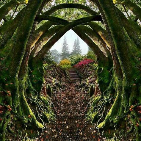 Portland's Hidden Oasis: The Magic Gardens